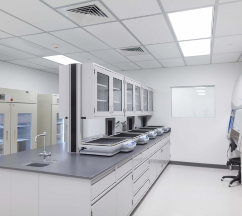 lab area with counters and work stations