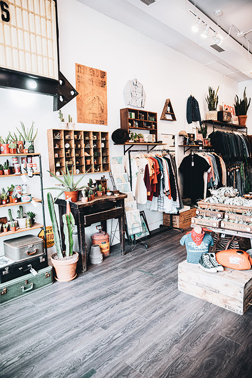 clothes, plants, and knick-knacks displayed at trendy store
